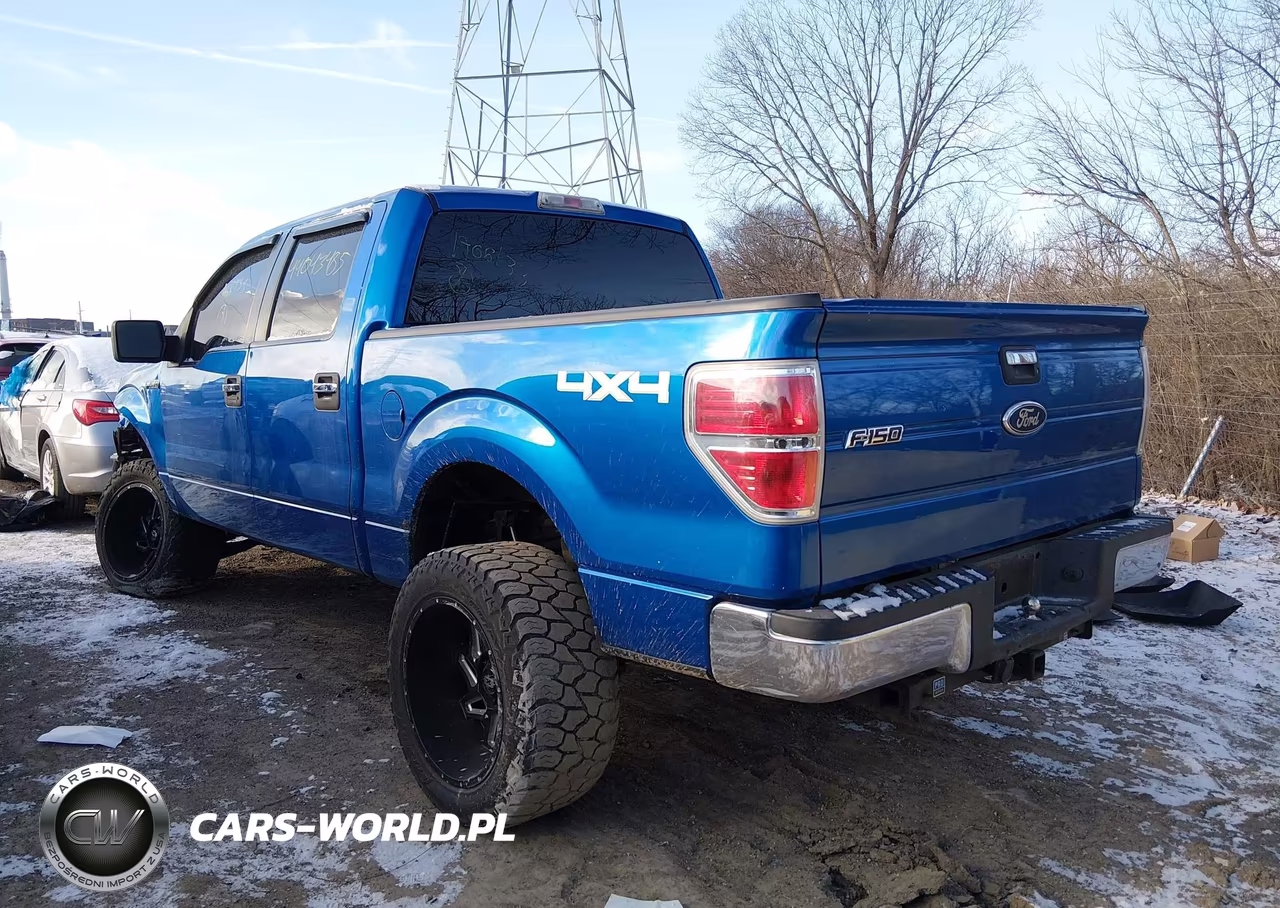 2009 Ford F-150 Xl-Xlt VIN:1FTRW14899FA66133 - 3