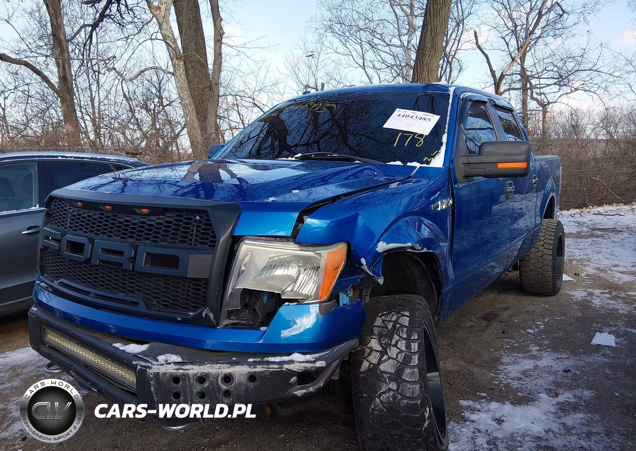 2009 Ford F-150 Xl-Xlt VIN:1FTRW14899FA66133 - 6