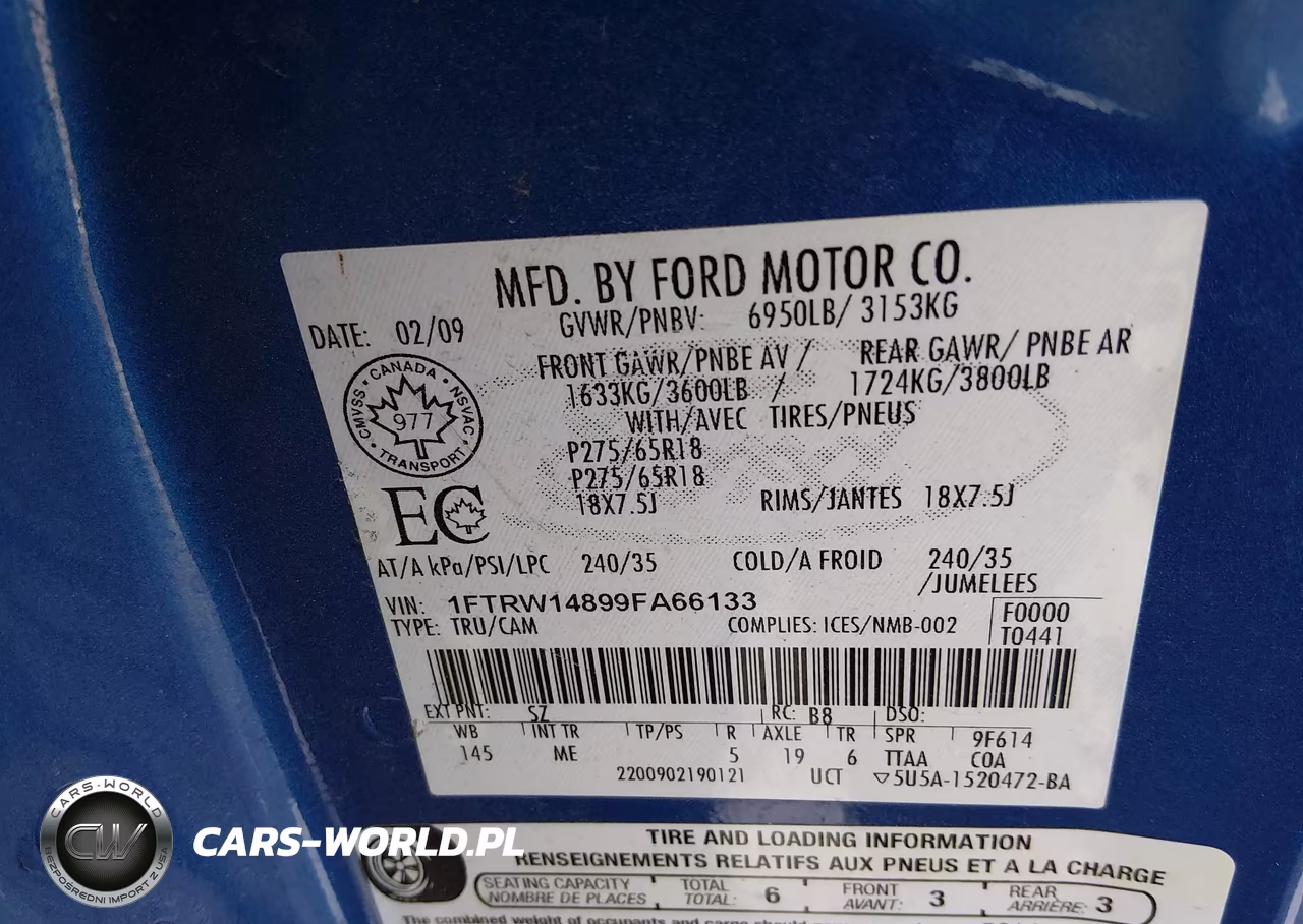 2009 Ford F-150 Xl-Xlt VIN:1FTRW14899FA66133 - 9