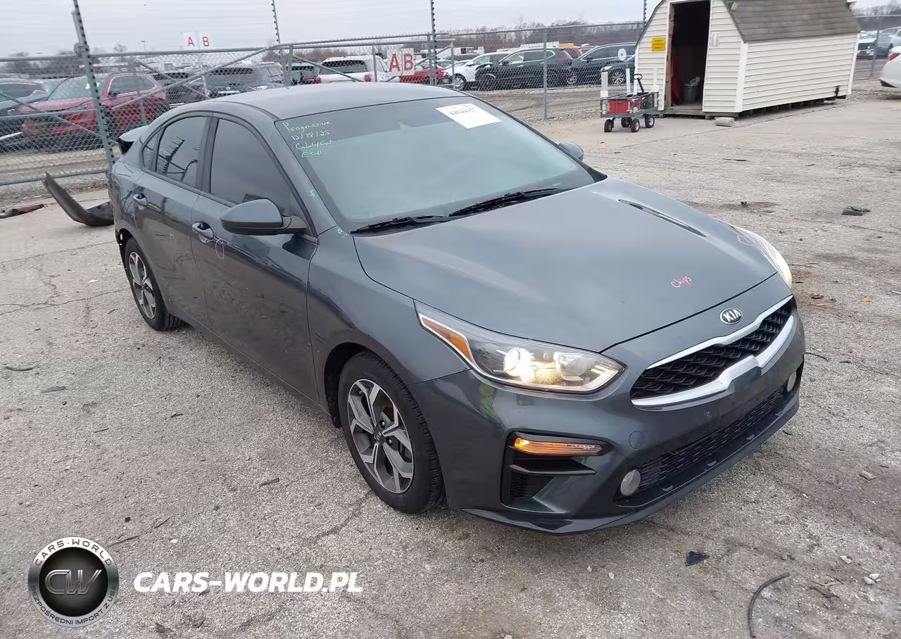 2019 Kia Forte Lxs
