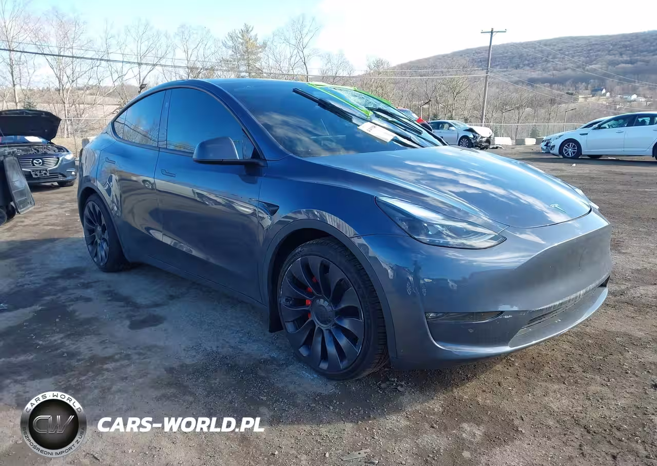 2023 Tesla Model Y Performance Dual Motor All-Wheel Drive