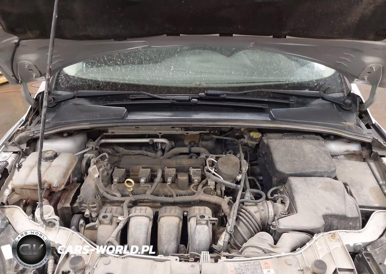 2015 Ford Focus Se VIN:1FADP3F26FL354867 - 10