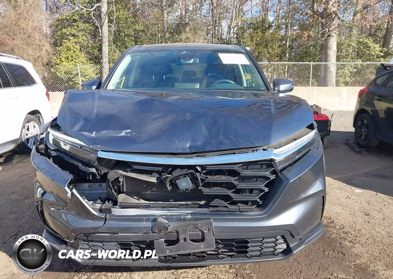 2025 Honda Cr-V Lx Awd VIN:7FARS4H25SE002222 - 12