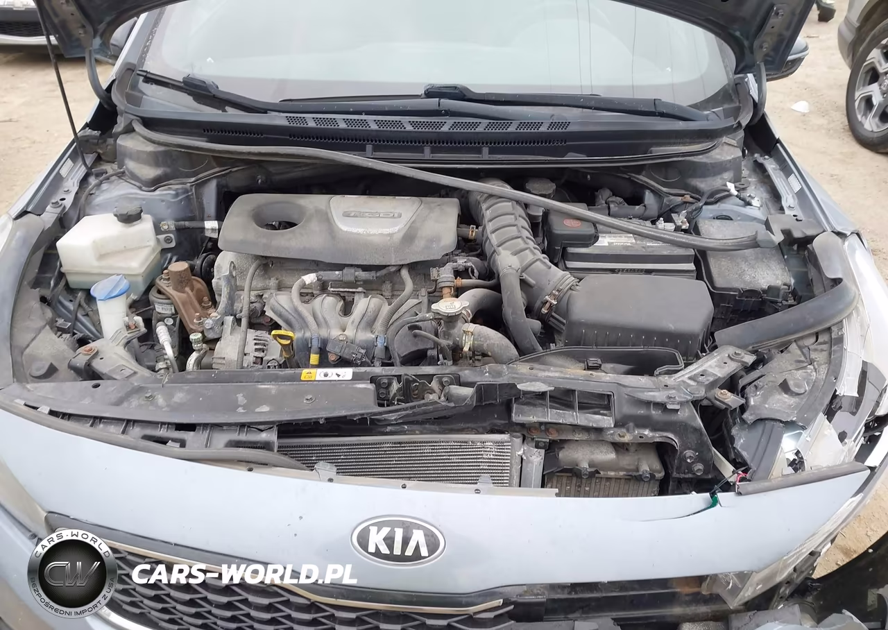 2017 Kia Forte Sx VIN:3KPFN5A38HE065134 - 10