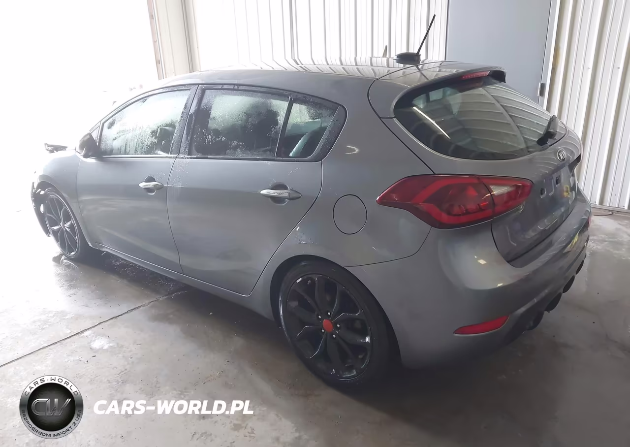 2017 Kia Forte Sx VIN:3KPFN5A38HE065134 - 3