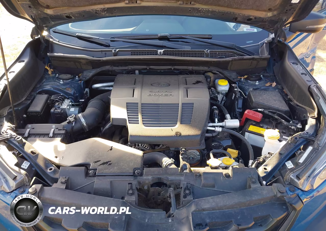2024 Subaru Forester Wilderness VIN:JF2SKAJC3RH461095 - 10