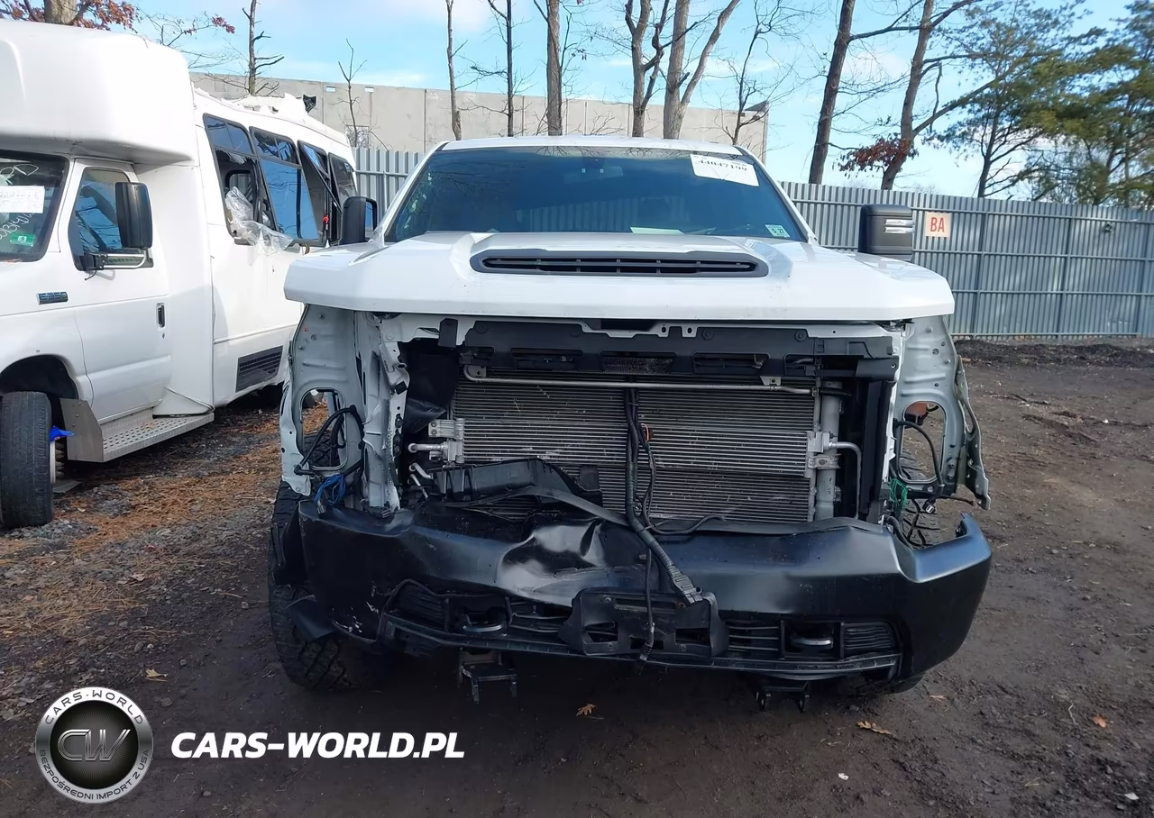 2022 Chevrolet Silverado 3500Hd 4Wd Standard Bed Wt VIN:1GC4YSEY6NF207758 - 12
