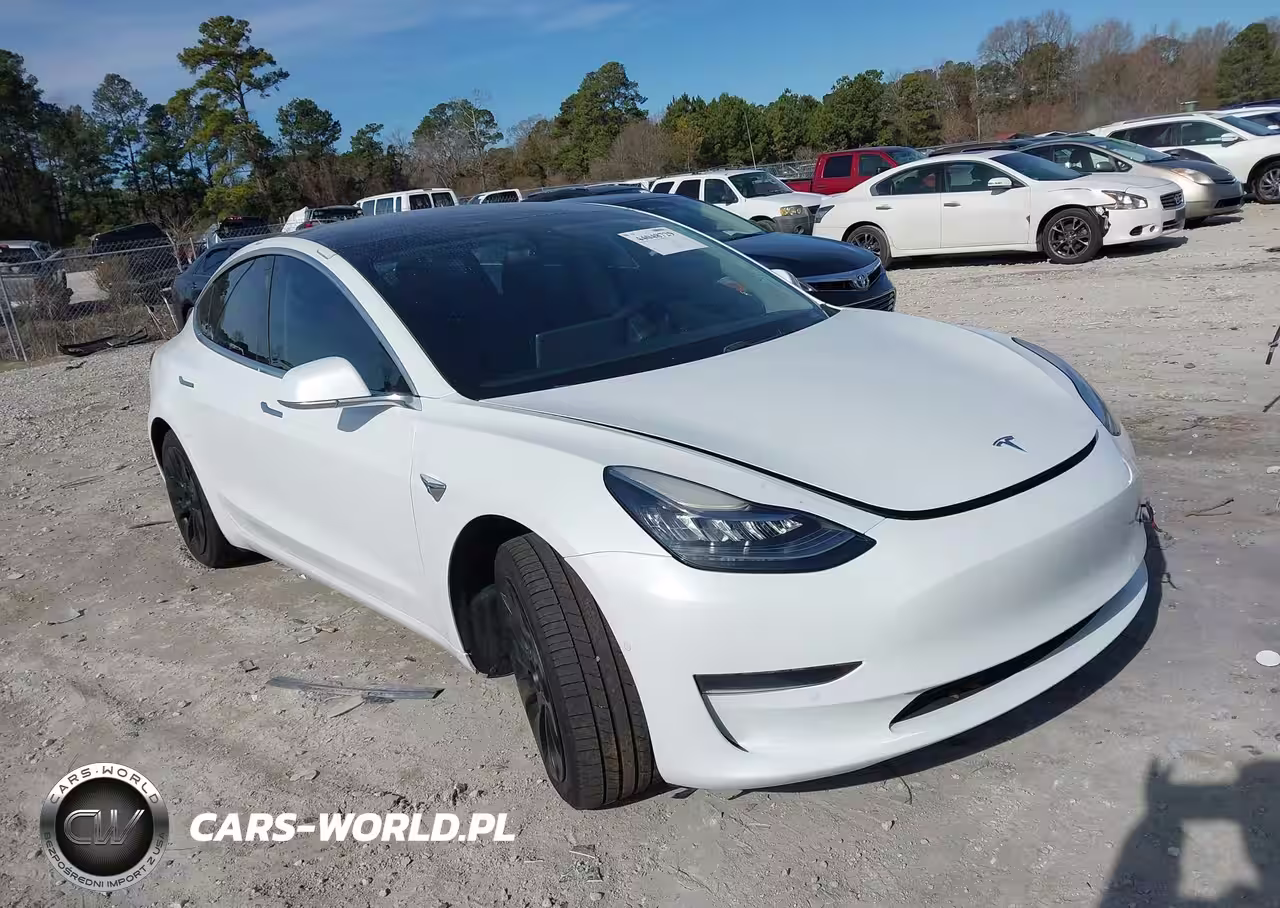 2020 Tesla Model 3 Standard Range Plus Rear-Wheel Drive-Standard Range Rear-Wheel Drive