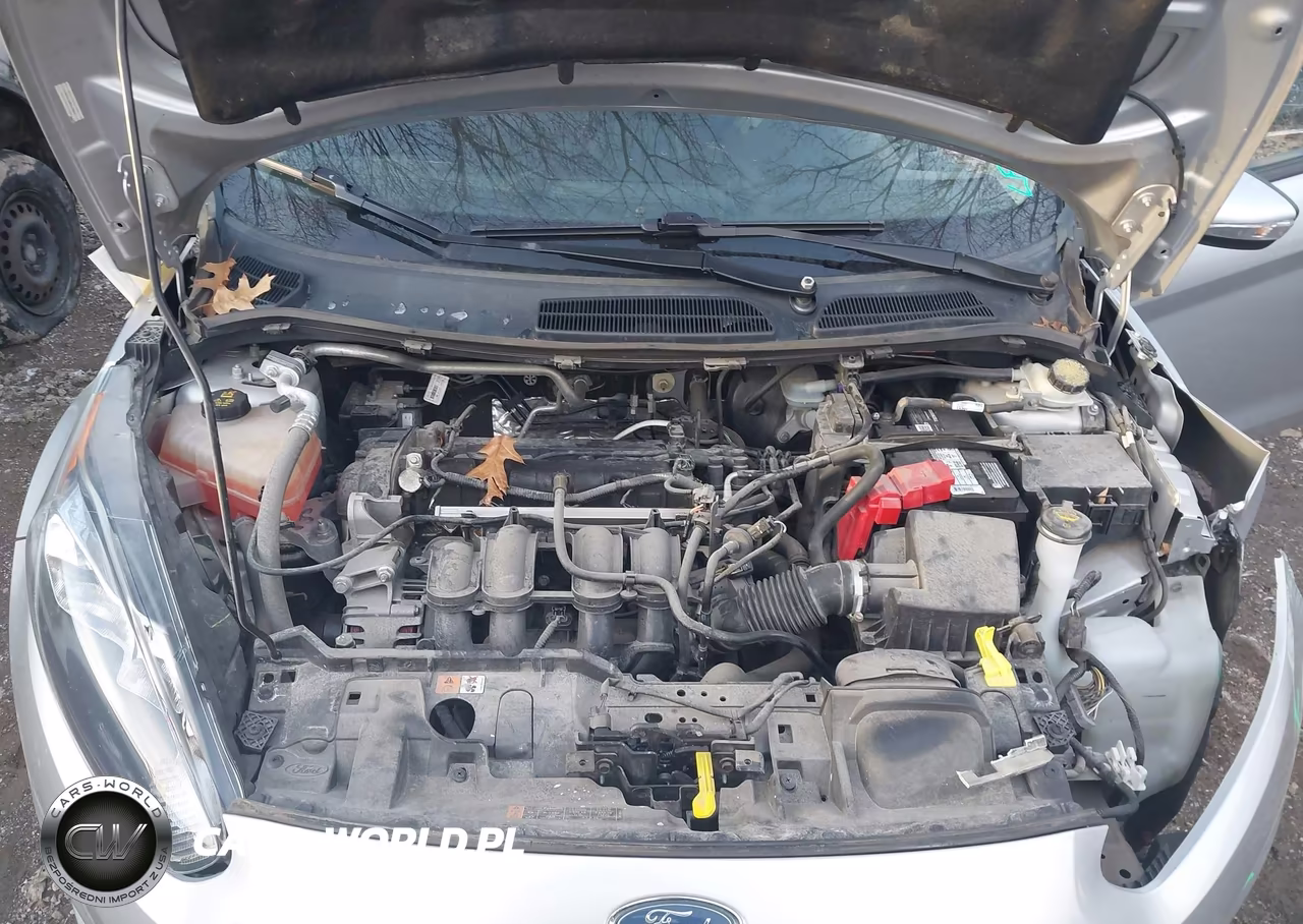 2015 Ford Fiesta Se VIN:3FADP4EJ5FM138411 - 10