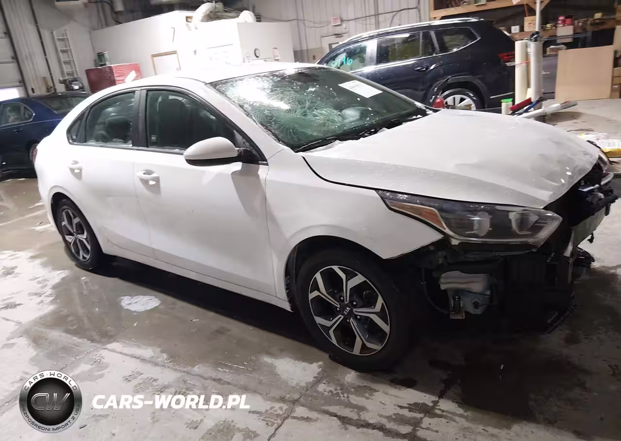 2019 Kia Forte Lxs