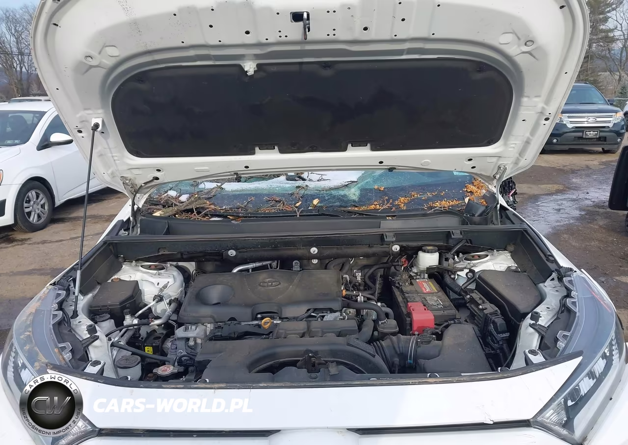 2021 Toyota Rav4 Xle VIN:2T3P1RFVXMC147075 - 10