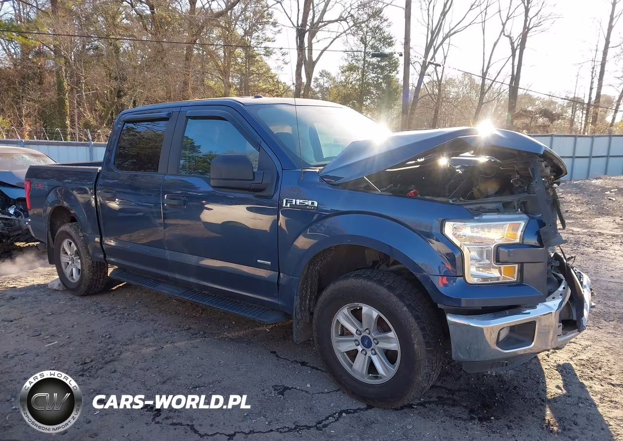 2015 Ford F-150 Xl VIN:1FTEW1EP7FFB58857 - 13