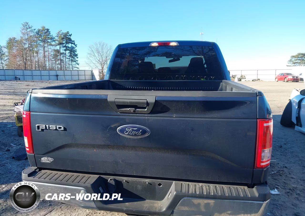 2015 Ford F-150 Xl VIN:1FTEW1EP7FFB58857 - 16