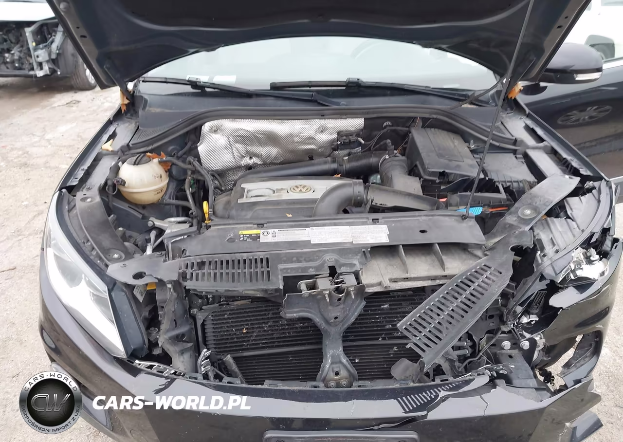 2015 Volkswagen Tiguan Se VIN:WVGBV7AX3FW556674 - 10