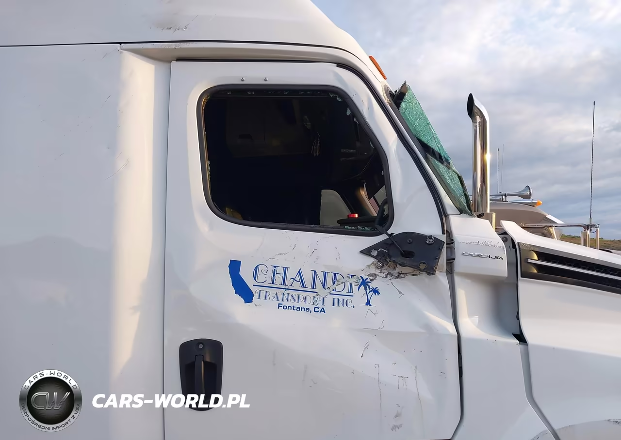 2020 Freightliner New Cascadia 126 VIN:3AKJHHDR8LSLR8367 - 12