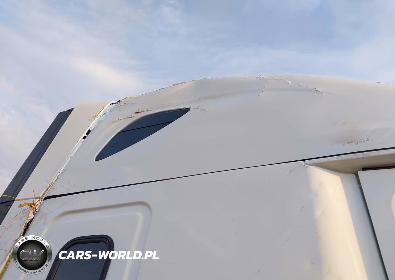 2020 Freightliner New Cascadia 126 VIN:3AKJHHDR8LSLR8367 - 14