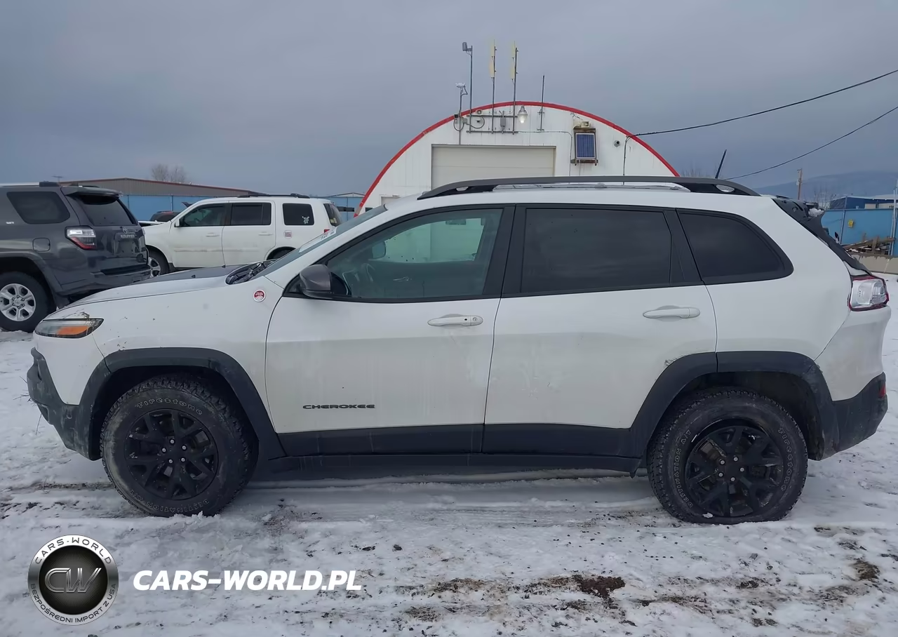 2017 Jeep Cherokee Trailhawk L Plus 4X4 VIN:1C4PJMBSXHW639948 - 14