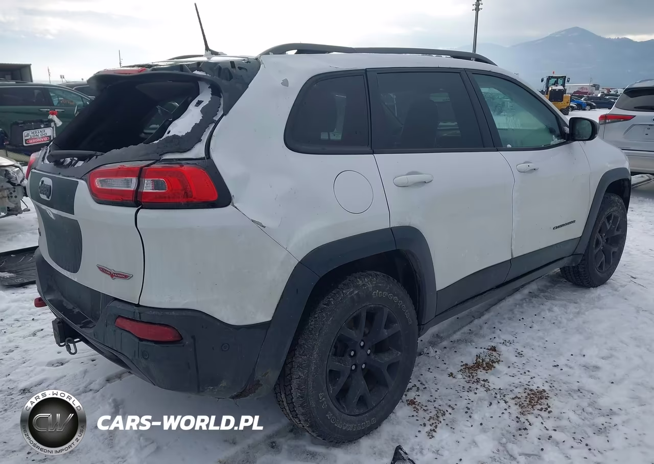 2017 Jeep Cherokee Trailhawk L Plus 4X4 VIN:1C4PJMBSXHW639948 - 4