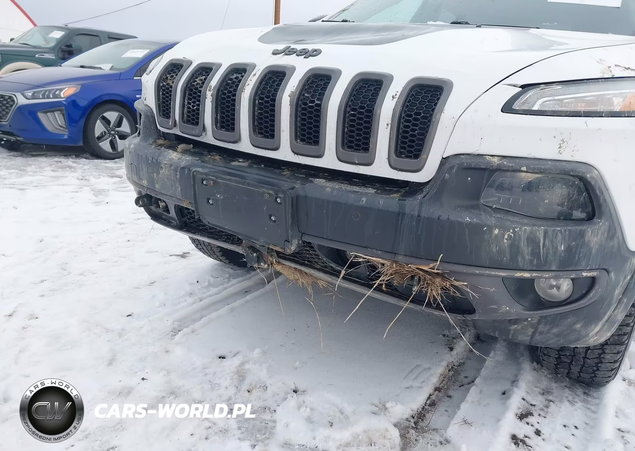 2017 Jeep Cherokee Trailhawk L Plus 4X4 VIN:1C4PJMBSXHW639948 - 6