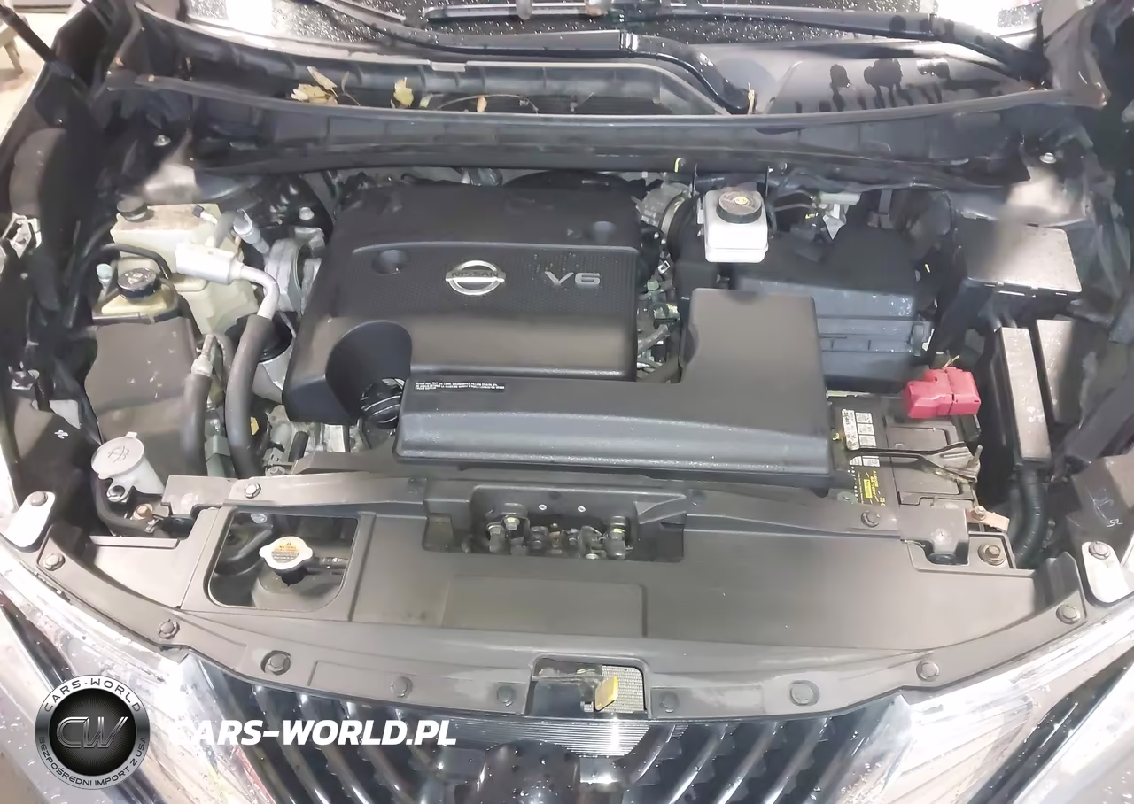 2016 Nissan Murano Platinum VIN:5N1AZ2MH9GN167861 - 10