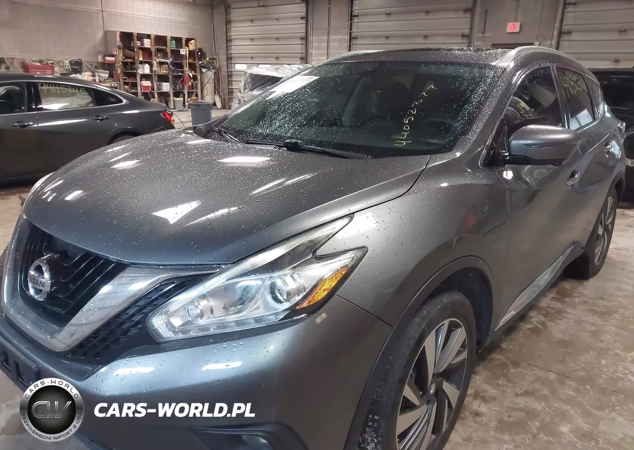 2016 Nissan Murano Platinum VIN:5N1AZ2MH9GN167861 - 6