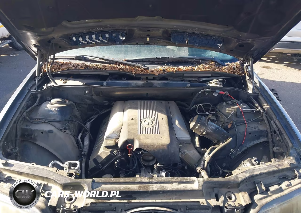 2002 BMW X5 4.4I VIN:5UXFB33522LH30623 - 10