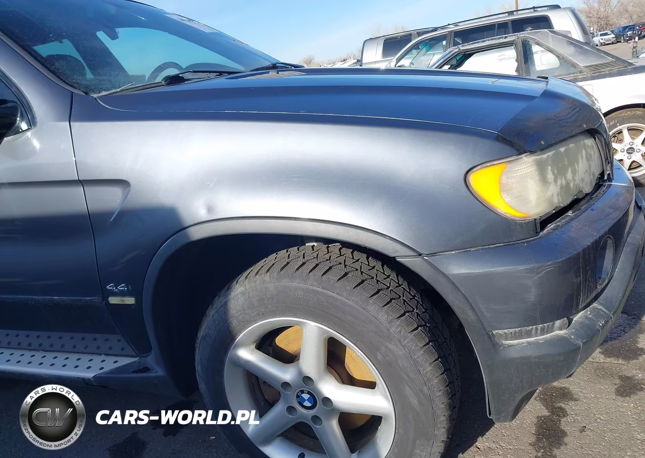 2002 BMW X5 4.4I VIN:5UXFB33522LH30623 - 6