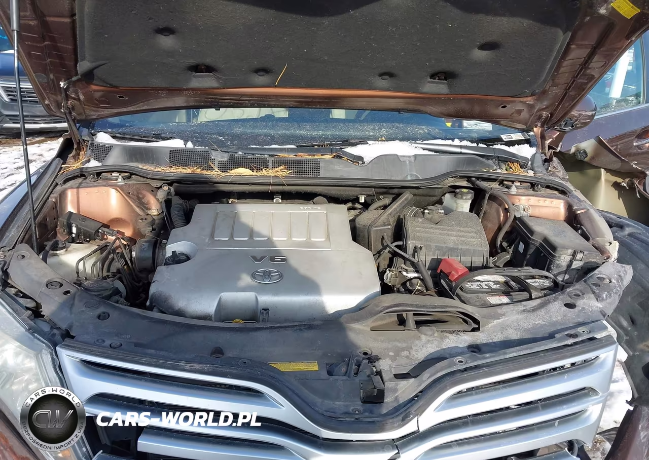 2010 Toyota Venza Base V6 VIN:4T3ZK3BB1AU027416 - 10
