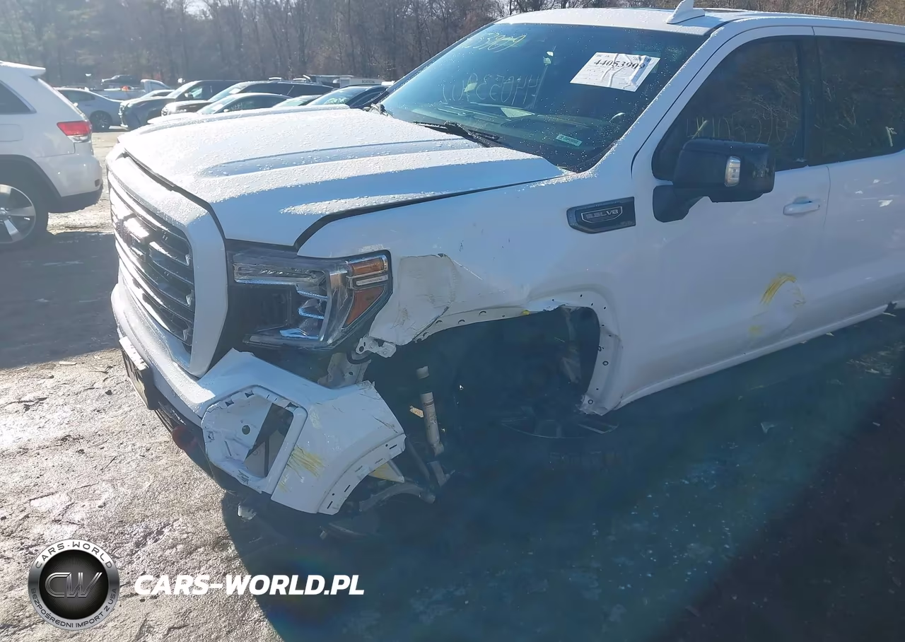 2019 GMC Sierra 1500 At4 VIN:3GTP9EED3KG159221 - 2