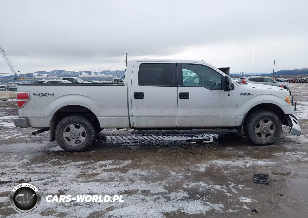 2010 Ford F-150 Fx4-Harley-Davidson-King Ranch-Lariat-Platinum-Xl-Xlt VIN:1FTFW1EV6AFD96713 - 13