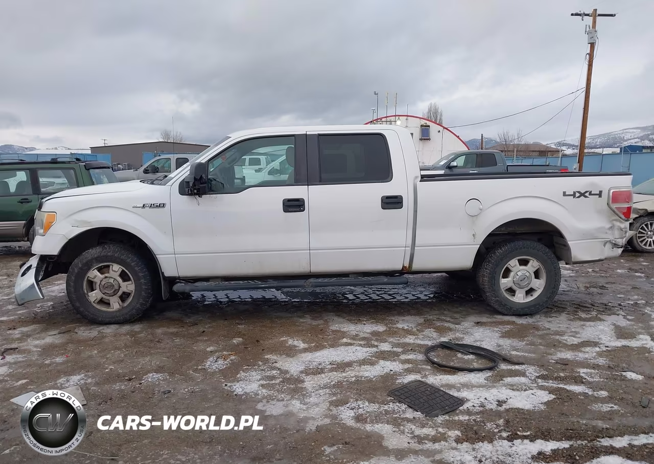 2010 Ford F-150 Fx4-Harley-Davidson-King Ranch-Lariat-Platinum-Xl-Xlt VIN:1FTFW1EV6AFD96713 - 14