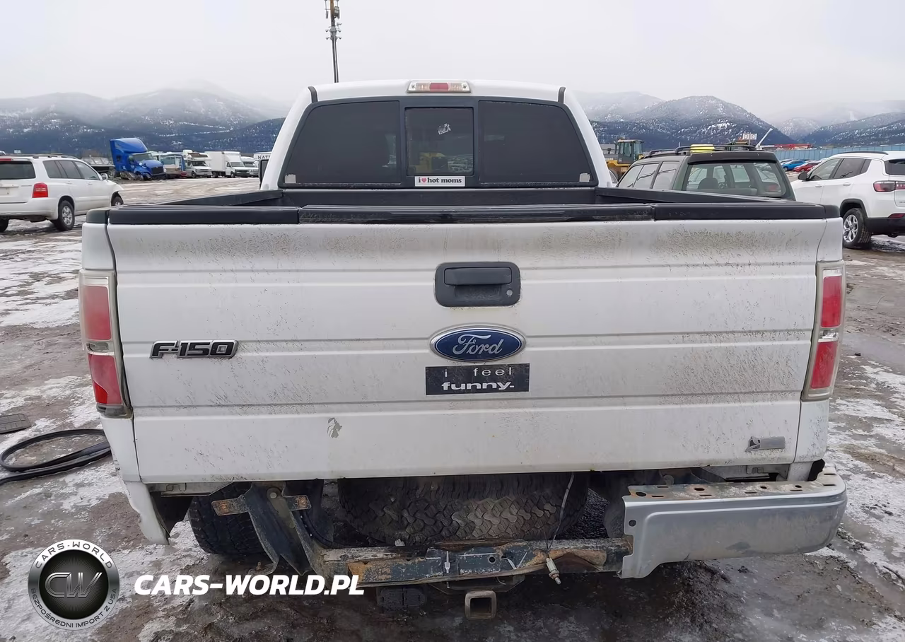 2010 Ford F-150 Fx4-Harley-Davidson-King Ranch-Lariat-Platinum-Xl-Xlt VIN:1FTFW1EV6AFD96713 - 16