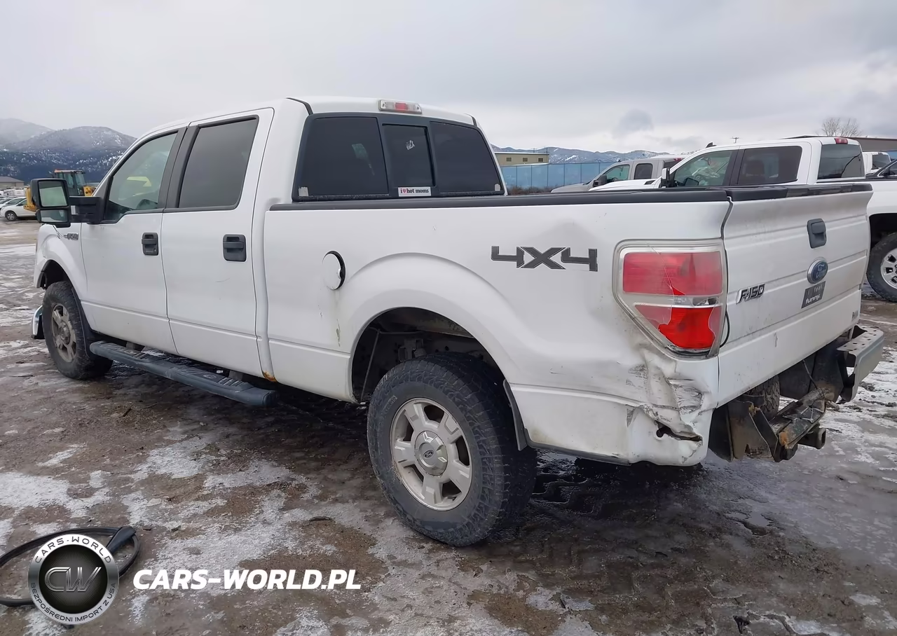 2010 Ford F-150 Fx4-Harley-Davidson-King Ranch-Lariat-Platinum-Xl-Xlt VIN:1FTFW1EV6AFD96713 - 3