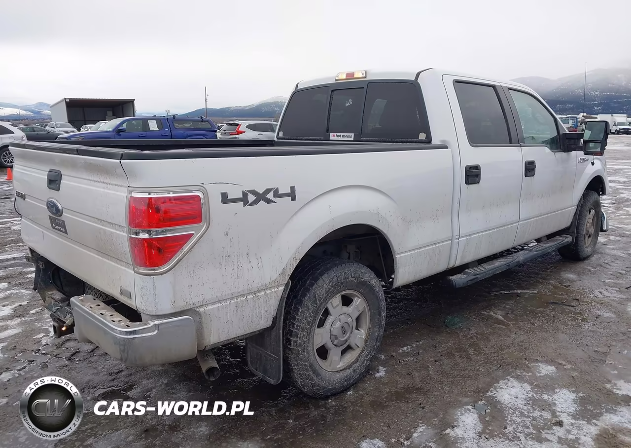 2010 Ford F-150 Fx4-Harley-Davidson-King Ranch-Lariat-Platinum-Xl-Xlt VIN:1FTFW1EV6AFD96713 - 4