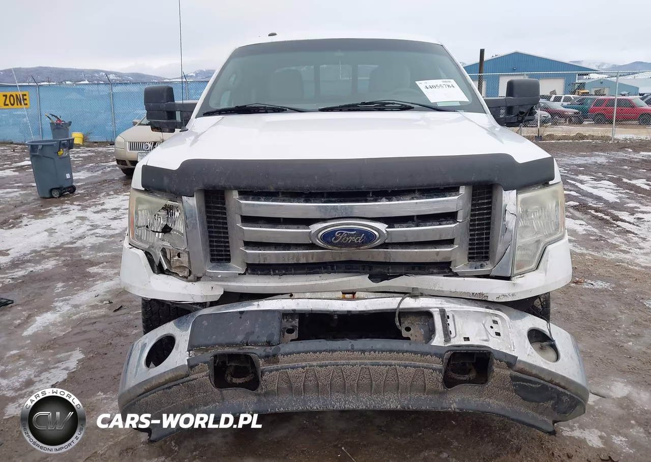 2010 Ford F-150 Fx4-Harley-Davidson-King Ranch-Lariat-Platinum-Xl-Xlt VIN:1FTFW1EV6AFD96713 - 6
