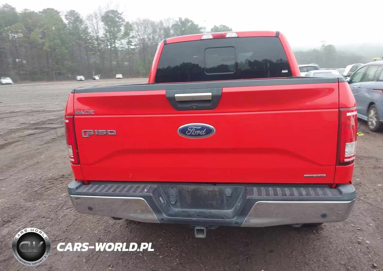 2016 Ford F-150 Xlt VIN:1FTEW1EF8GKF76084 - 16