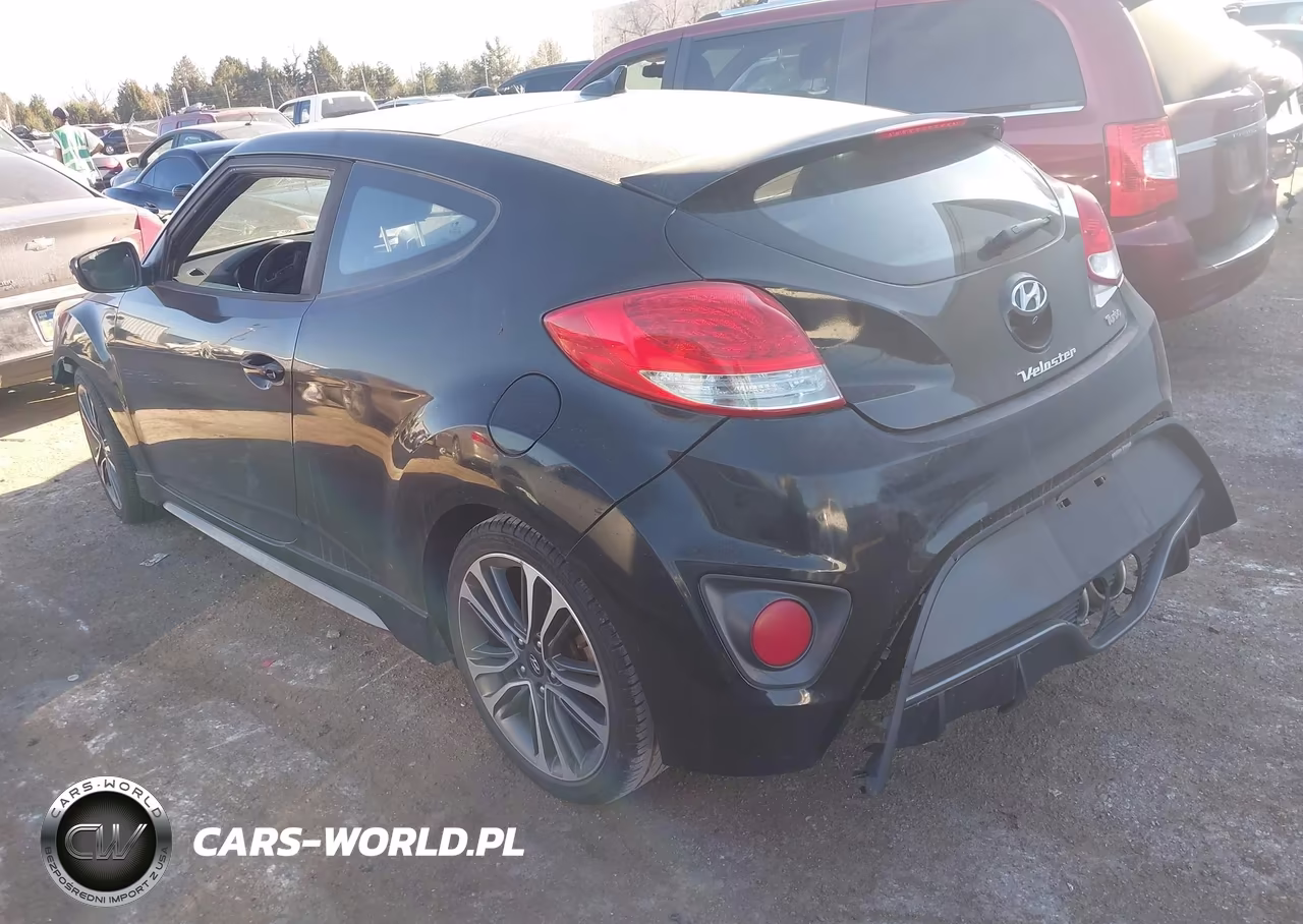 2016 Hyundai Veloster Turbo VIN:KMHTC6AE6GU297842 - 3