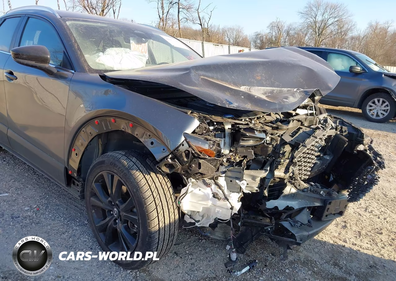 2024 Mazda Cx-30 2.5 S Select Sport VIN:3MVDMBBM4RM630663 - 6