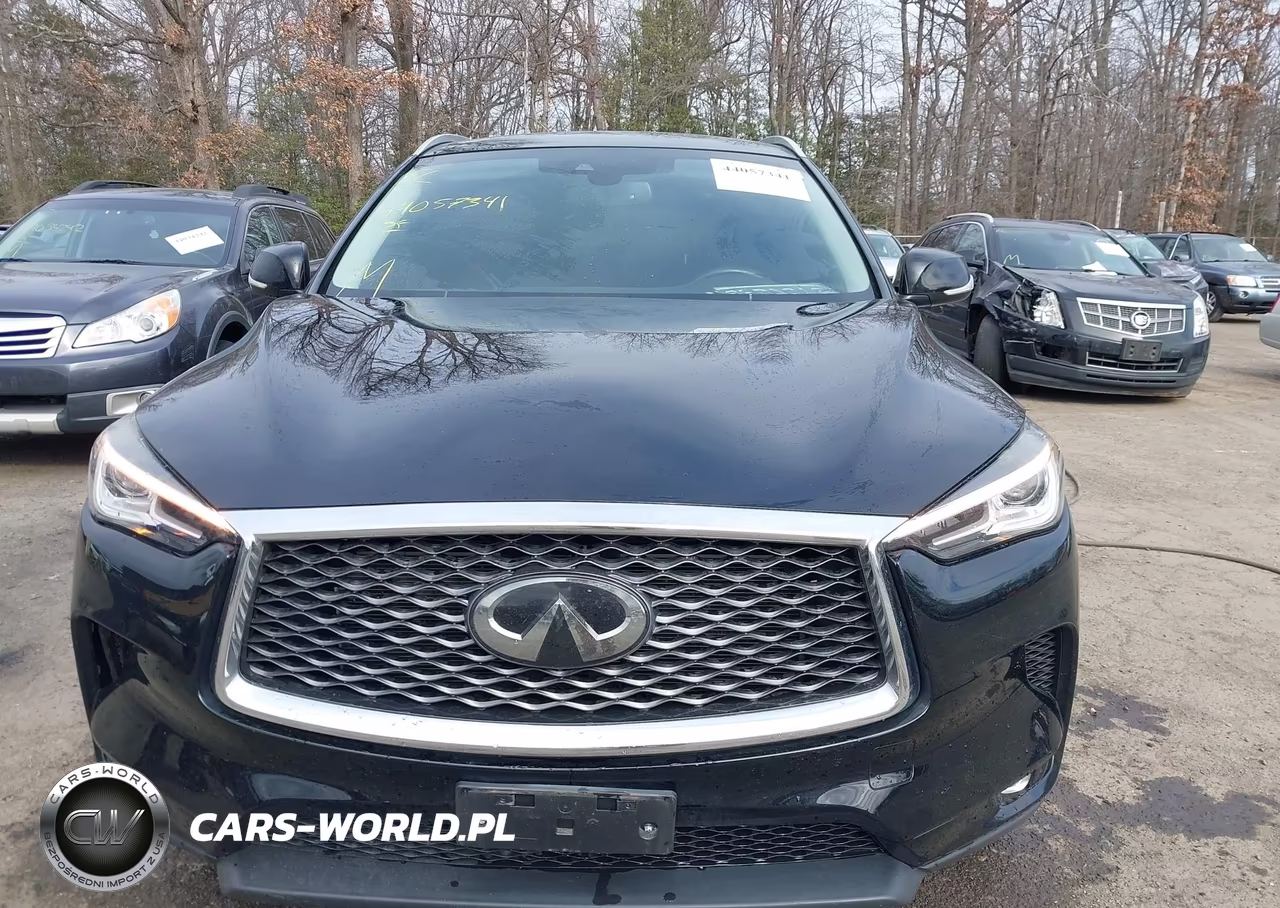 2019 Infiniti Qx50 Luxe VIN:3PCAJ5M39KF148171 - 12
