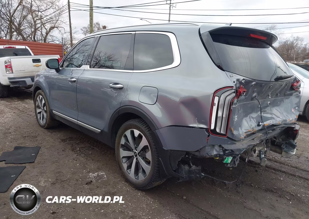 2021 Kia Telluride S VIN:5XYP6DHC5MG137731 - 3