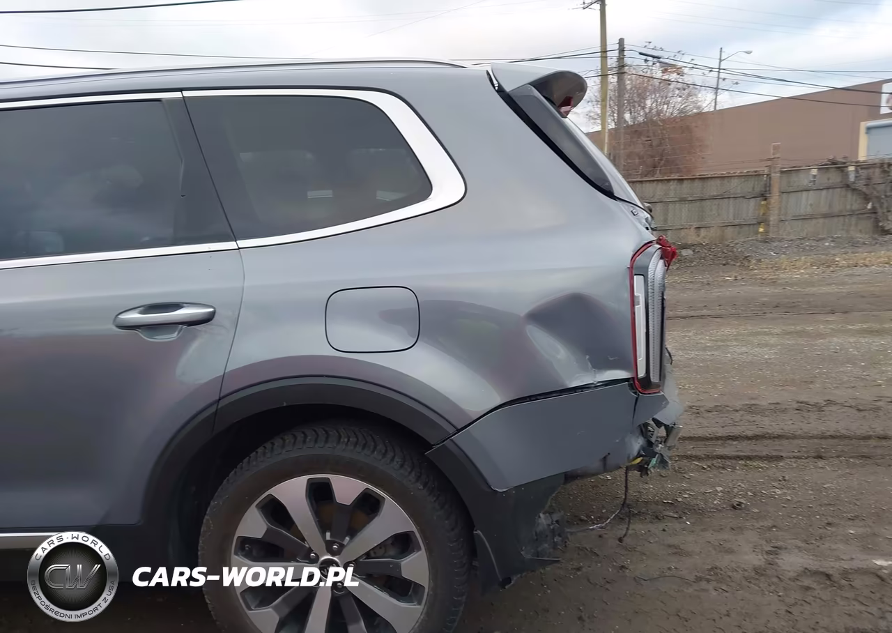 2021 Kia Telluride S VIN:5XYP6DHC5MG137731 - 6