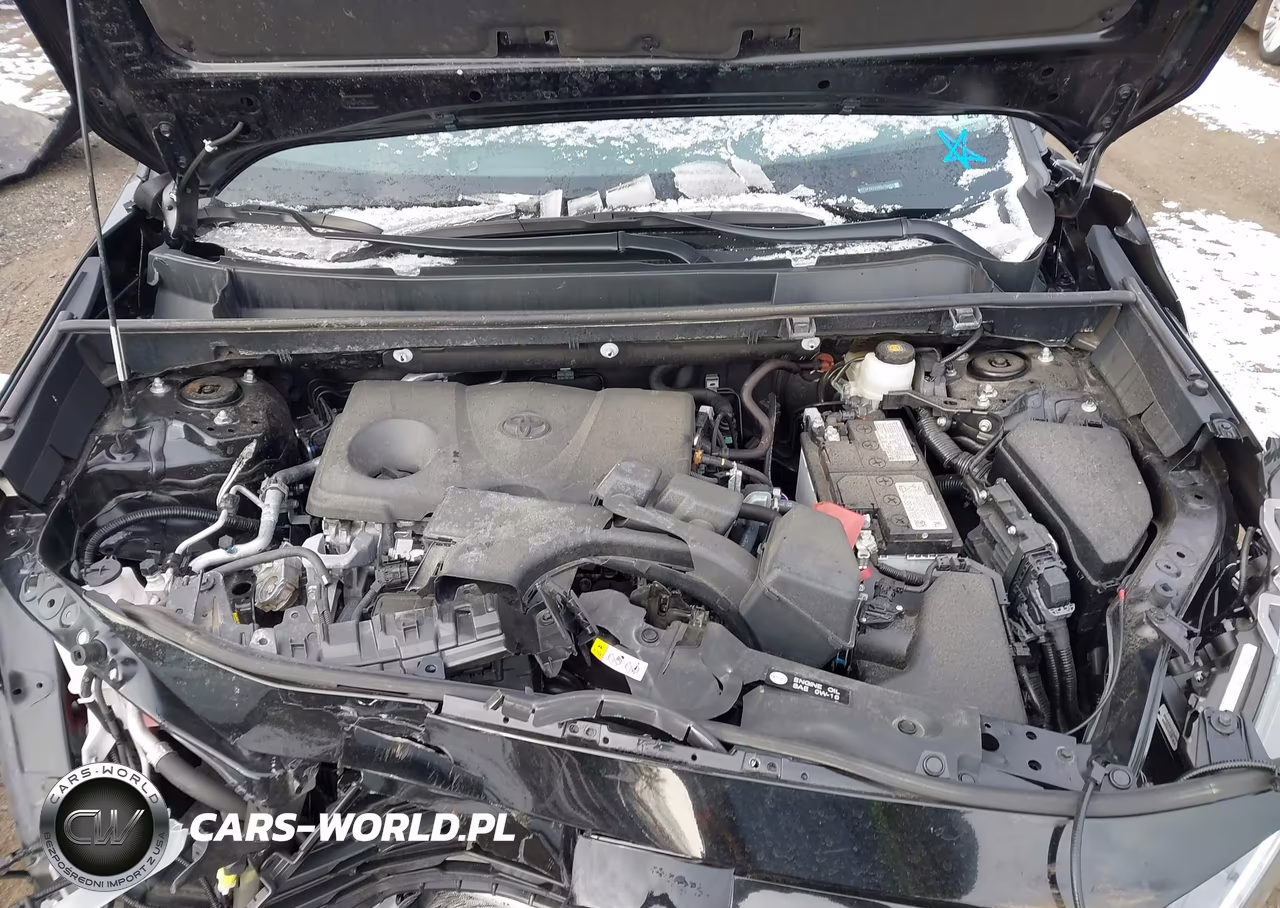 2024 Toyota Rav4 Xle VIN:2T3P1RFV8RC476655 - 10