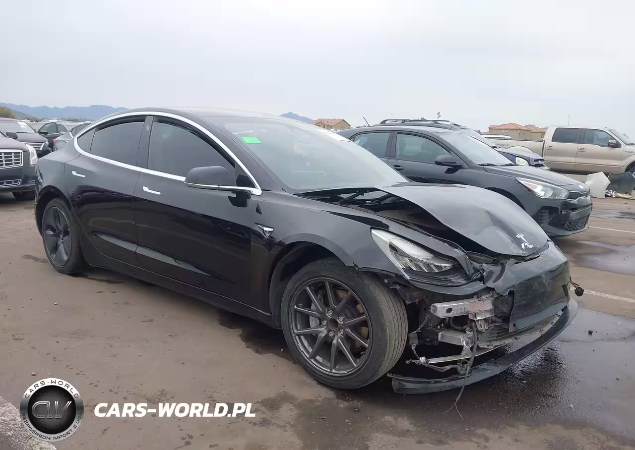 2019 Tesla Model 3