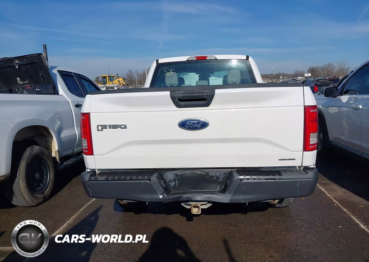 2015 Ford F-150 Xl VIN:1FTEX1C88FKF19691 - 16