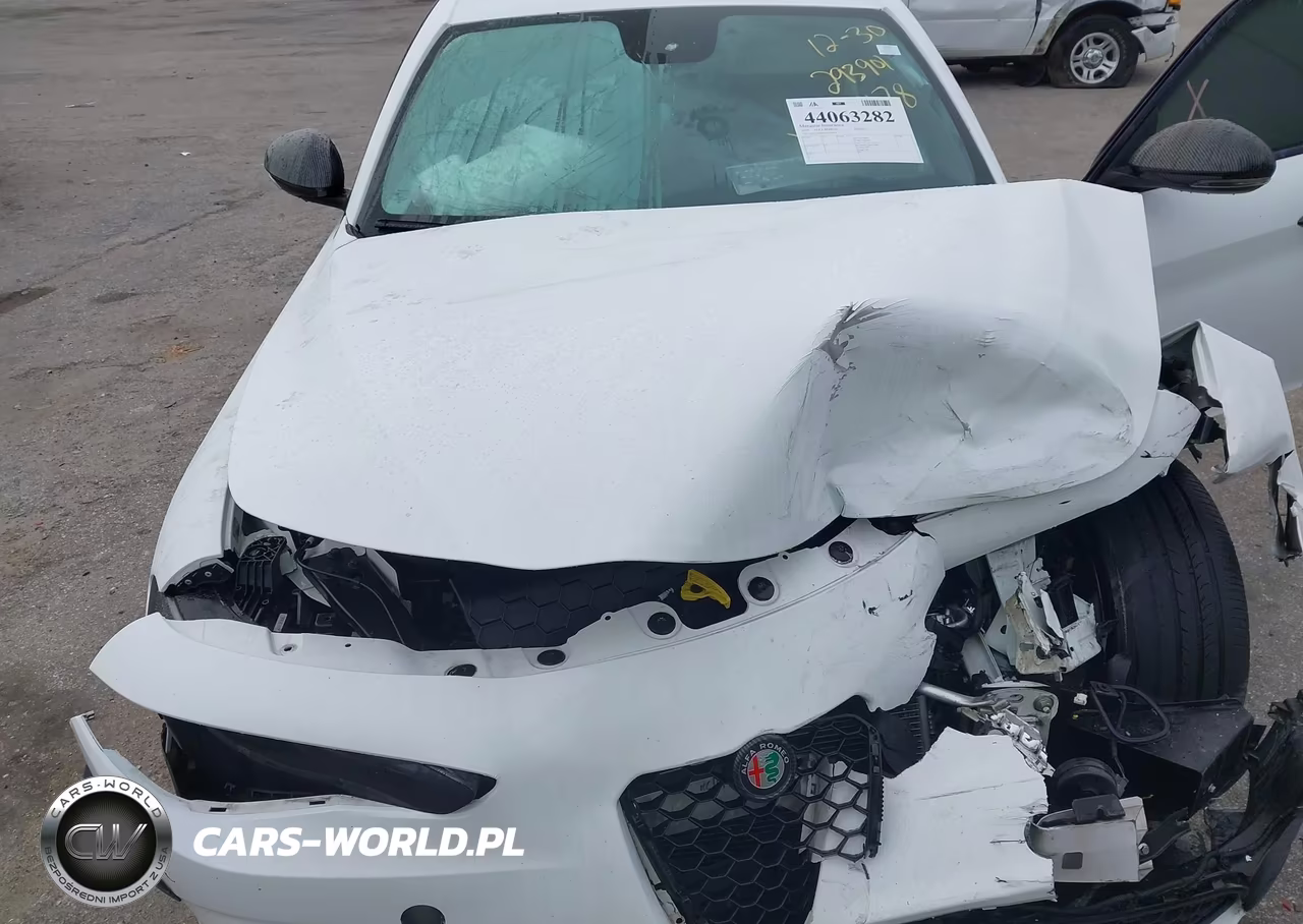 2019 Alfa Romeo Giulia Ti Sport Rwd VIN:ZARFAMBNXK7603478 - 10