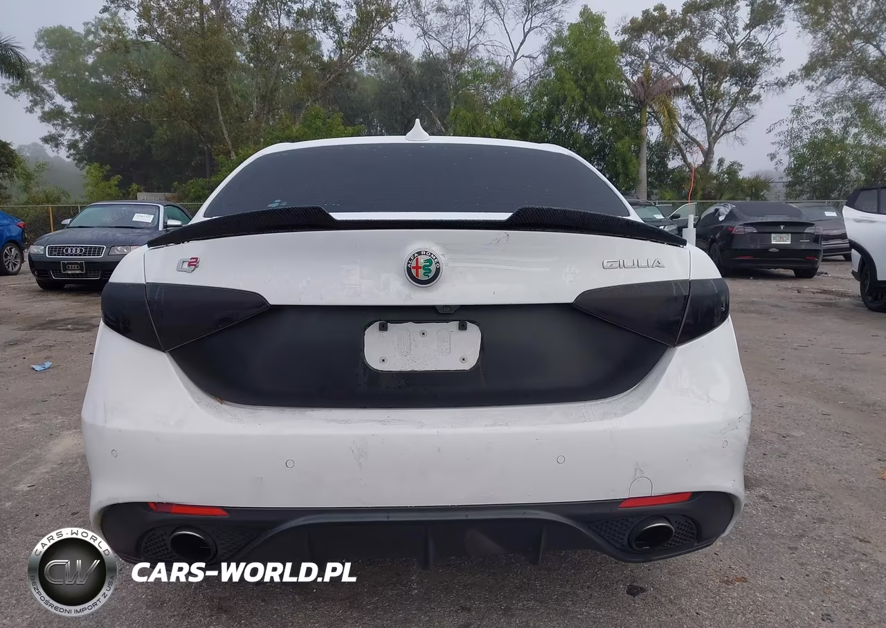 2019 Alfa Romeo Giulia Ti Sport Rwd VIN:ZARFAMBNXK7603478 - 15
