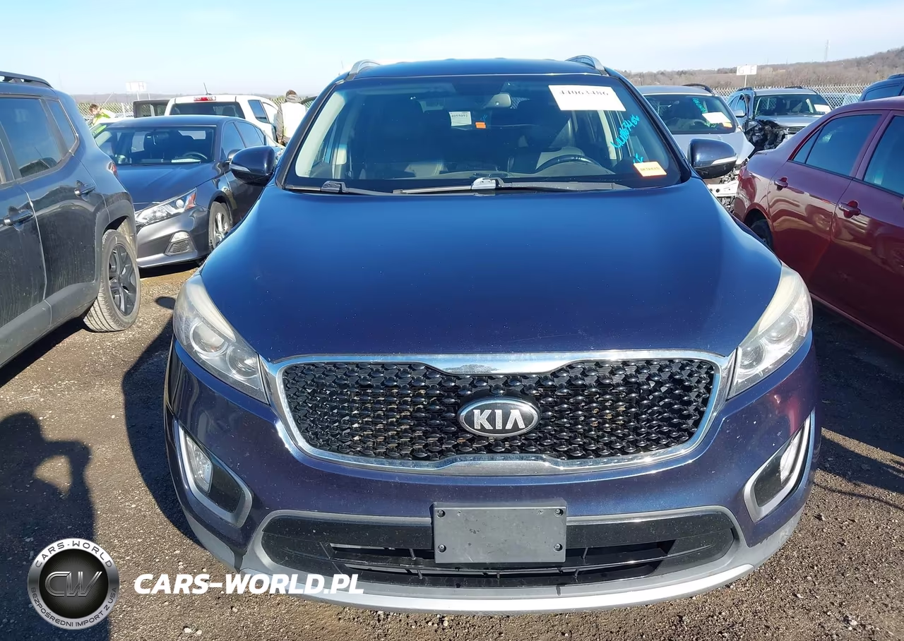 2016 Kia Sorento 3.3L Ex VIN:5XYPHDA5XGG001170 - 12