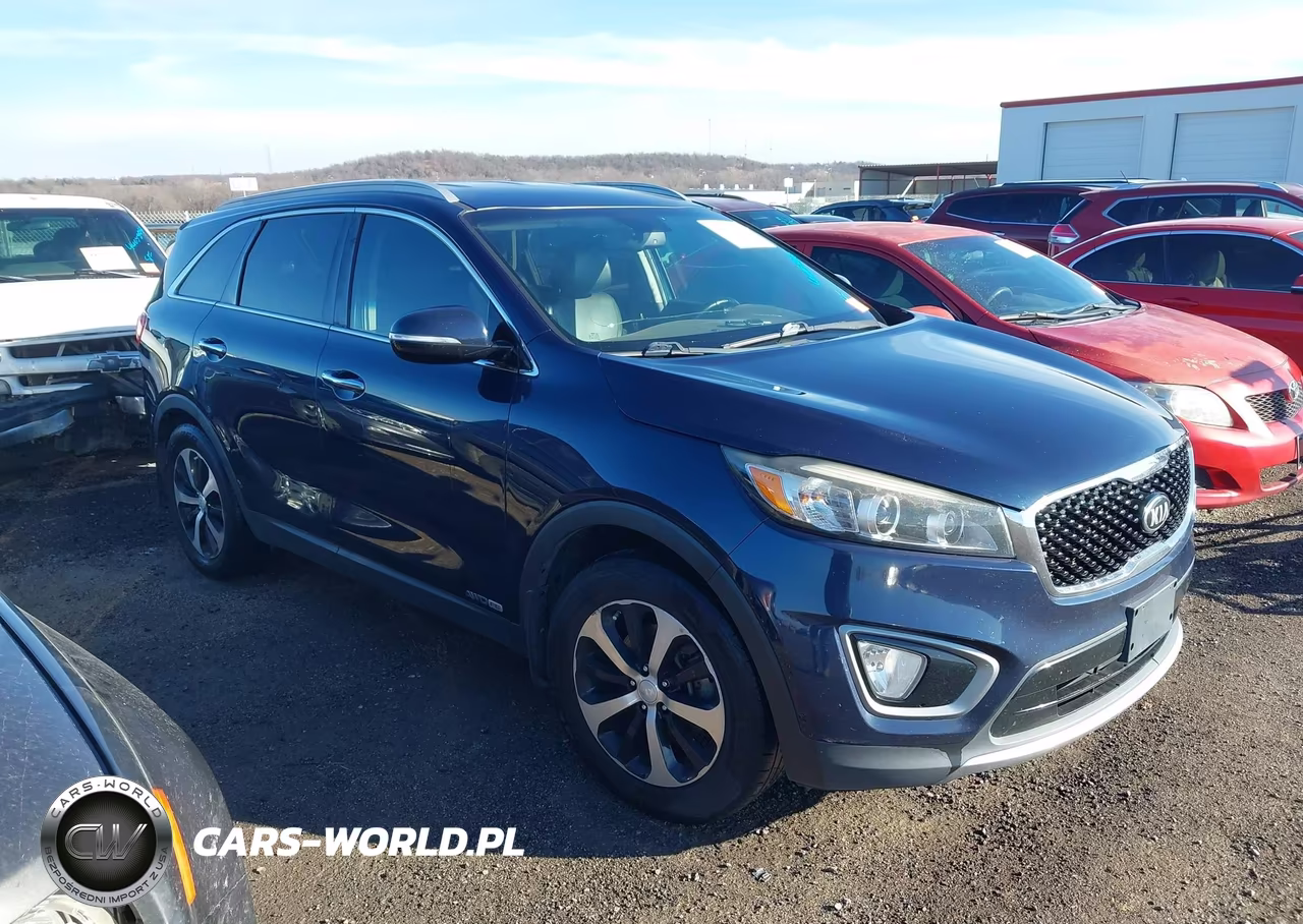 2016 Kia Sorento 3.3L Ex VIN:5XYPHDA5XGG001170 - 13