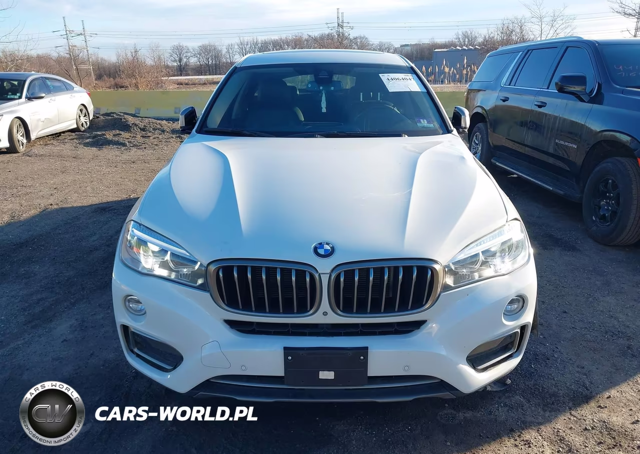 2018 BMW X6 xDrive35I VIN:5UXKU2C55J0X50977 - 12
