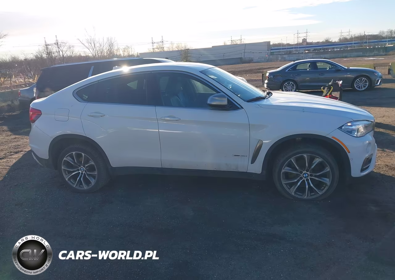2018 BMW X6 xDrive35I VIN:5UXKU2C55J0X50977 - 13